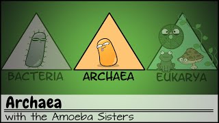 Archaea [upl. by Ettenaj]