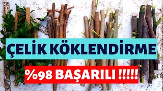 ÇELİK KÖKLENDİRME NASIL YAPILIR � BAŞARILI [upl. by Marys]