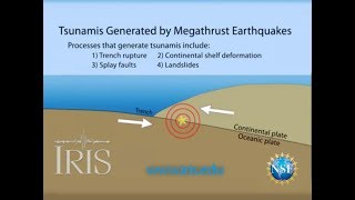 Tsunamis Generated by Megathrust Earthquakes [upl. by Jervis]