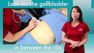 AIU  Scanning the Gallbladder [upl. by Anerahs]