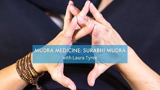 Mudra Medicine Surabhi Mudra with Laura Tyree  Yoga Anytime [upl. by Kaia]