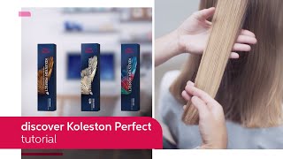 Everything You Need to Know About Koleston Perfect  Wella Professionals [upl. by Camille498]