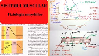 ADMITERE MEDICINA SISTEMUL MUSCULAR 2 Fiziologia muschilor [upl. by Aselehc843]