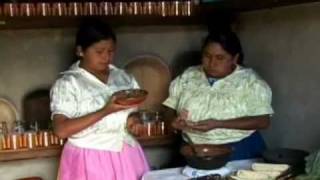 Traditional Mexican cuisine  ancestral ongoing community culture the Michoacán paradigm [upl. by Isabea]