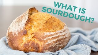 Introduction to Sourdough for Beginners What is Sourdough [upl. by Crabb]