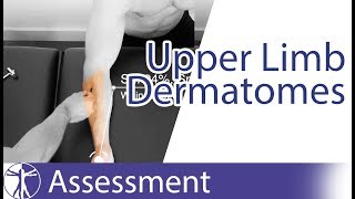 Dermatomes Upper Limb  Peripheral Neurological Examination [upl. by Akit]