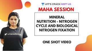 Mineral Nutrition  Nitrogen Cycle and Biological Nitrogen Fixation  NEET Biology  NEET 2020 [upl. by Adnohral]