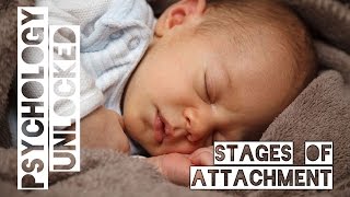 How Babies Form Attachments  Four Stages  Schaffer amp Emerson [upl. by Ryun]