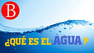 El AGUA y sus propiedades  TODO SOBRE EL AGUA [upl. by Ylirama433]