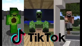 Avocados From Mexico 🥑⛏ Minecraft TIK TOK Compilation [upl. by Marc301]