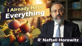 I Already Have Everything  Rabbi Naftali Horowitz [upl. by Llenol]