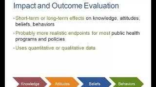 Chapter 10 Types of Program Evaluation [upl. by Eidna]