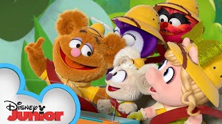 Backyard Safari  Muppet Babies  disneyjr [upl. by Eedissac]