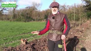 How to coppice a hedge  Hedgerow Week 2020 [upl. by Snodgrass731]