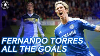 Fernando Torres  All the Goals  Best Goals Compilation  Chelsea FC [upl. by Ilac]