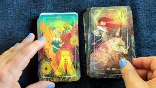 Le Tarot Ostara un vieil ami [upl. by Nolyarb243]