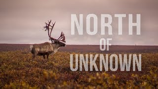 CARIBOU HUNTING IN ALASKA  NORTH OF UNKNOWN [upl. by Carlick453]