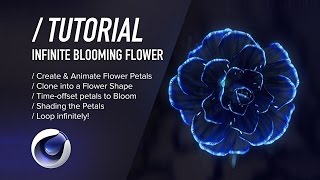 C4D TUTORIAL  Infinite Blooming Flower Cinema 4D [upl. by Luahs]