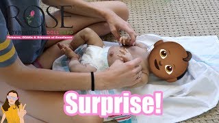 Surprise Reborn Baby Box Opening from ROSE  Kelli Maple [upl. by Day]