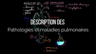 Description des pathologies et maladies pulmonaires [upl. by Ivzt]