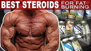 The Best Steroids For Burning Fat [upl. by Howe136]