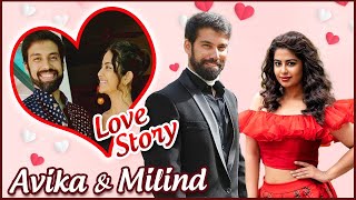 Avika Gor amp Milind Chandwani LOVE STORY  First Meet Love Proposal amp More [upl. by Felicle]