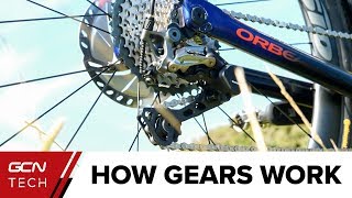 How Do Bike Gears Work  Bicycle Gears Explained [upl. by Enialed420]