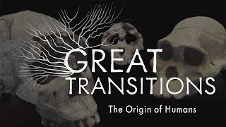 Great Transitions The Origin of Humans — HHMI BioInteractive Video [upl. by Learsiy792]