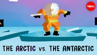 The Arctic vs the Antarctic  Camille Seaman [upl. by Chiang]