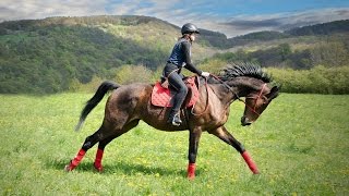 Epic full galloping GoPro extreme riding Best shots [upl. by Steffi343]