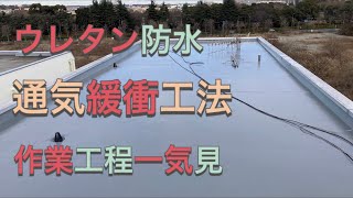 【ウレタン防水】通気緩衝工法の流れを一気見！ [upl. by Attesor]