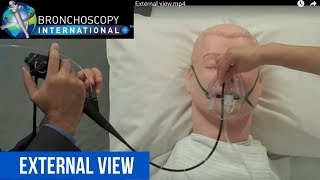 Flexible Bronchoscope Anatomy 101 [upl. by Suivatal982]