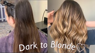 Hand Painted Balayage Ombre Technique  Dark to Blonde Tutorial [upl. by Kauffmann]