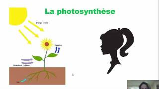 photosynthèse et respiration [upl. by Aufmann682]