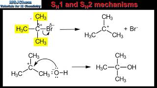 R349 SN1 and SN2 mechanisms HL [upl. by Yecad677]