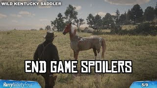 Red Dead Redemption 2  All Wild Horse Breed Locations Guide Horseman 10 Challenge [upl. by Elocen835]