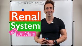 Renal System  Overview [upl. by Einaej]