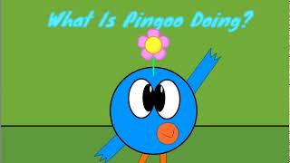 What Is Pingoo Doing Intro [upl. by Nanaek195]