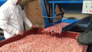 Industrial Peanut Shelling Machine [upl. by Eilrac97]