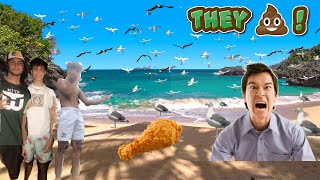 Feeding Seagulls Laxatives PRANK [upl. by Oleusnoc128]