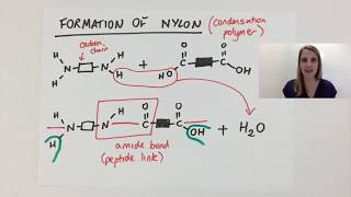 Simple Condensation polymerisation polymer explained using nylon GCSE [upl. by Cindy]