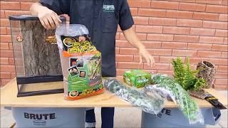 Complete Crested Gecko Setup Review and Care Info  LLLReptiles San Diego location [upl. by Sidonia]