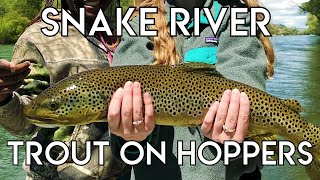 Epic Snake River Hopper Fishing [upl. by Etnom32]