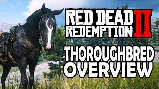 Thoroughbred Overview  Red Dead Redemption 2 Horses [upl. by Leventhal]