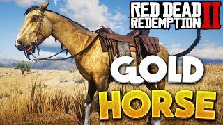 Red Dead Redemption 2 Gold War Horse RDR2 Best Horses [upl. by Sanalda732]