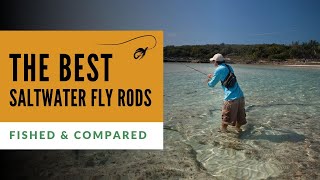 Best Saltwater Fly Rods Tested amp Compared [upl. by Ellener]