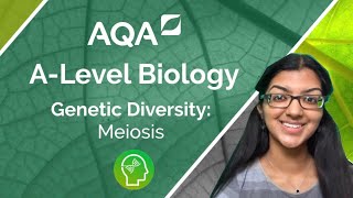 AQA A Level Biology Meiosis [upl. by Ayanej]