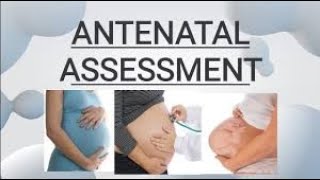 ANTENATAL ASSESSMENT  FULL DETAILS [upl. by Furr]