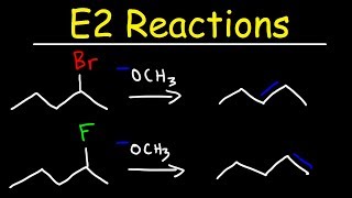 E2 Reaction Mechanism  Hoffman Elimination vs Zaitsevs Rule [upl. by Drazze]