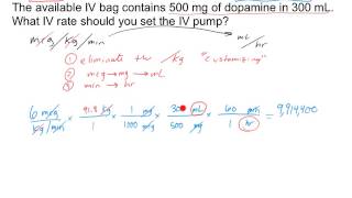 Critical Care Calculations Two Examples [upl. by Enyrhtak937]